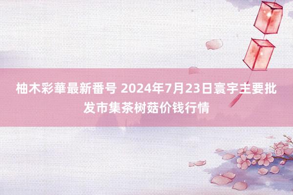 柚木彩華最新番号 2024年7月23日寰宇主要批发市集茶树菇价钱行情