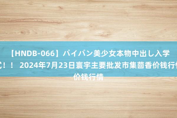 【HNDB-066】パイパン美少女本物中出し入学式！！ 2024年7月23日寰宇主要批发市集茴香价钱行情