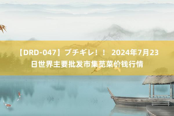 【DRD-047】ブチギレ！！ 2024年7月23日世界主要批发市集苋菜价钱行情