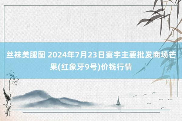 丝袜美腿图 2024年7月23日寰宇主要批发商场芒果(红象牙9号)价钱行情