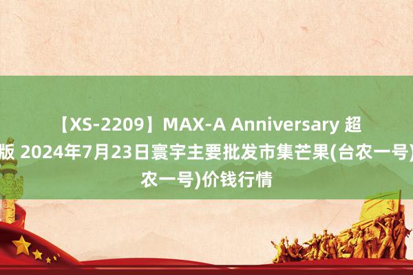 【XS-2209】MAX-A Anniversary 超永久保存版 2024年7月23日寰宇主要批发市集芒果(台农一号)价钱行情