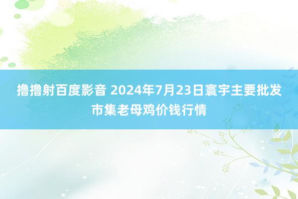 撸撸射百度影音 2024年7月23日寰宇主要批发市集老母鸡价钱行情