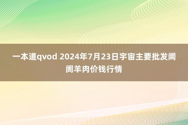 一本道qvod 2024年7月23日宇宙主要批发阛阓羊肉价钱行情