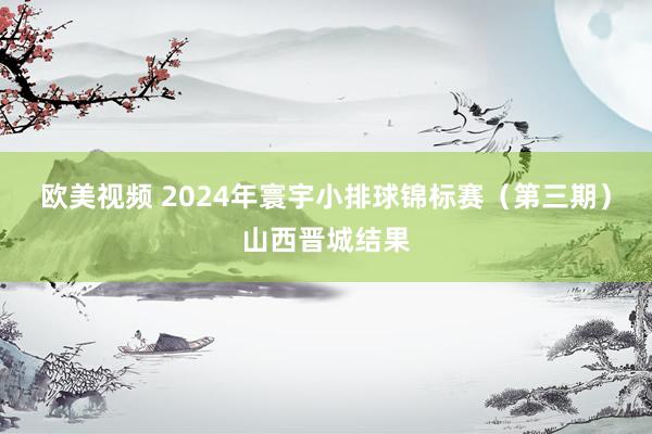 欧美视频 2024年寰宇小排球锦标赛（第三期）山西晋城结果