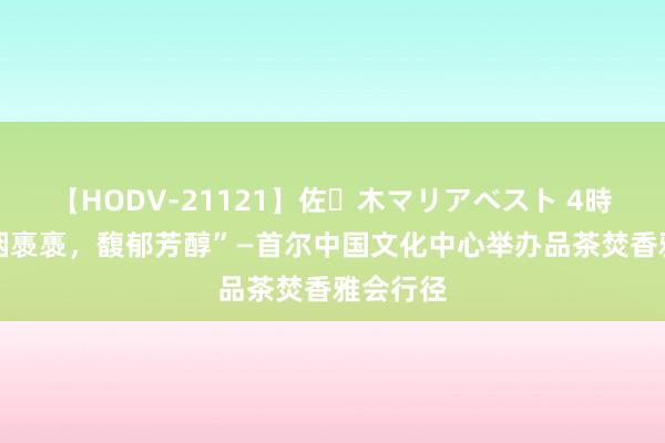 【HODV-21121】佐々木マリアベスト 4時間 “轻烟褭褭，馥郁芳醇”—首尔中国文化中心举办品茶焚香雅会行径