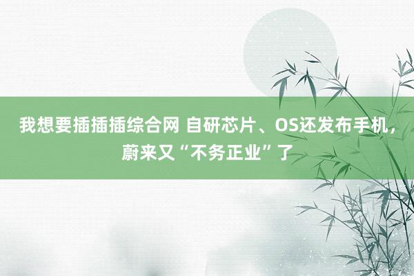 我想要插插插综合网 自研芯片、OS还发布手机，蔚来又“不务正业”了