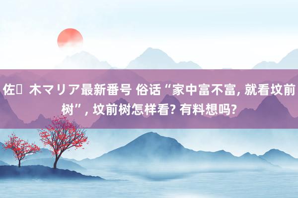 佐々木マリア最新番号 俗话“家中富不富， 就看坟前树”， 坟前树怎样看? 有料想吗?