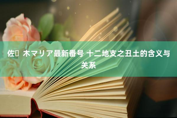 佐々木マリア最新番号 十二地支之丑土的含义与关系