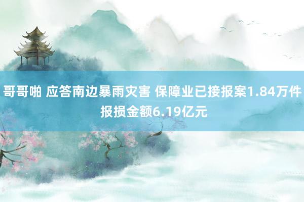 哥哥啪 应答南边暴雨灾害 保障业已接报案1.84万件 报损金额6.19亿元