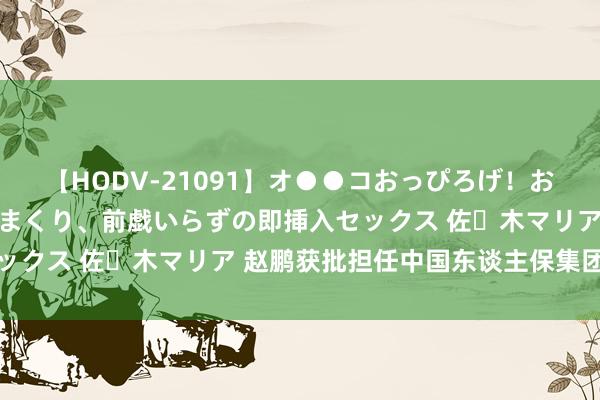 【HODV-21091】オ●●コおっぴろげ！お姉ちゃん 四六時中濡れまくり、前戯いらずの即挿入セックス 佐々木マリア 赵鹏获批担任中国东谈主保集团总裁