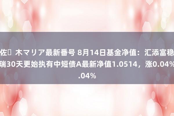 佐々木マリア最新番号 8月14日基金净值：汇添富稳瑞30天更始执有中短债A最新净值1.0514，涨0.04%