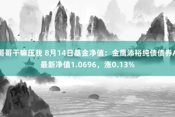 哥哥干嘛压我 8月14日基金净值：金鹰添裕纯债债券A最新净值1.0696，涨0.13%