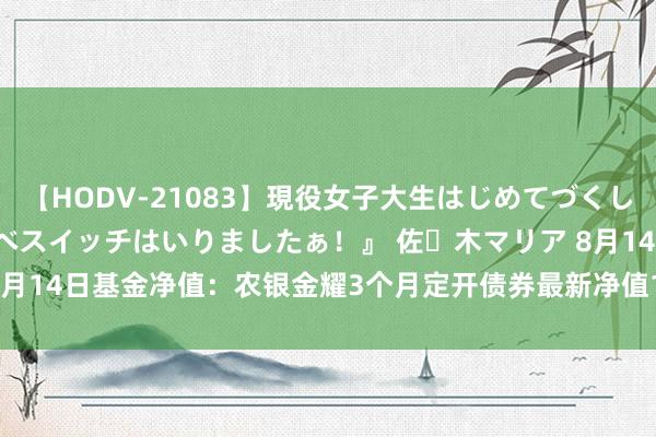 【HODV-21083】現役女子大生はじめてづくしのセックス 『私のドスケベスイッチはいりましたぁ！』 佐々木マリア 8月14日基金净值：农银金耀3个月定开债券最新净值1.0176，涨0.07%