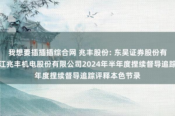 我想要插插插综合网 兆丰股份: 东吴证券股份有限公司对于浙江兆丰机电股份有限公司2024年半年度捏续督导追踪评释本色节录