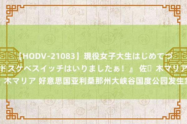 【HODV-21083】現役女子大生はじめてづくしのセックス 『私のドスケベスイッチはいりましたぁ！』 佐々木マリア 好意思国亚利桑那州大峡谷国度公园发生急流 有旅客被困