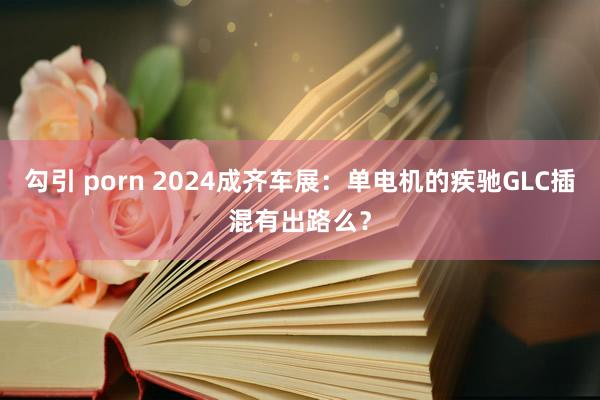 勾引 porn 2024成齐车展：单电机的疾驰GLC插混有出路么？