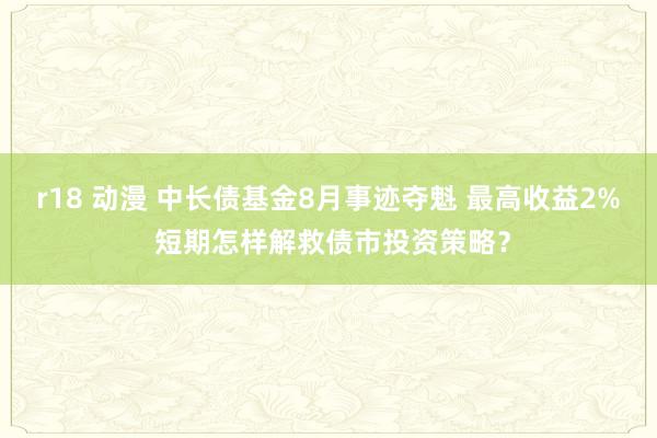 r18 动漫 中长债基金8月事迹夺魁 最高收益2% 短期怎样解救债市投资策略？